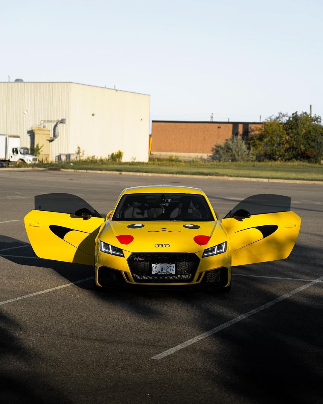 Wraptors Wraptors