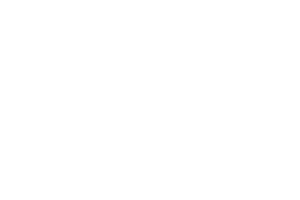 Wraptors Miami